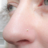 14K Gold 24 Gauge L Shaped Ball End Nose Stud