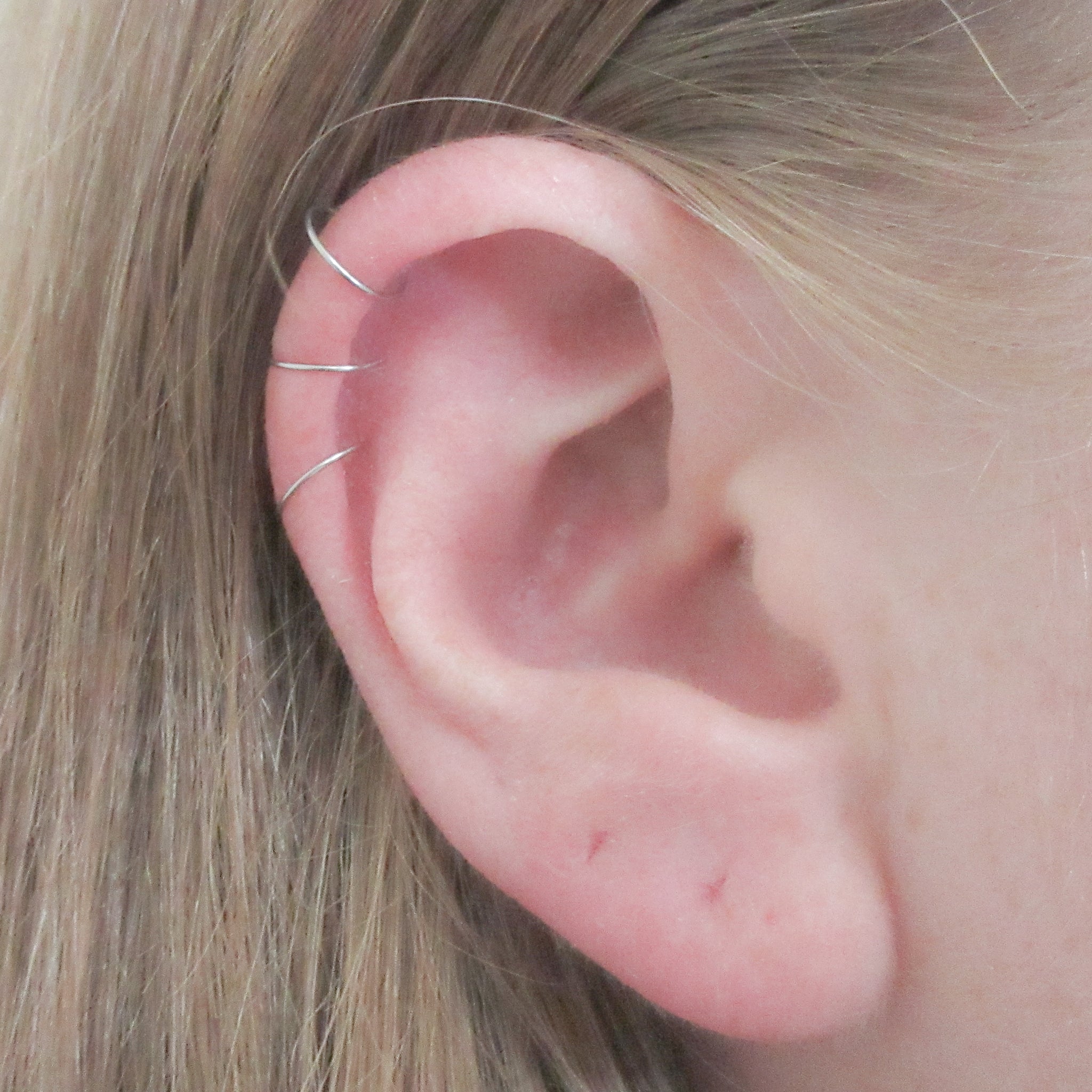 Gauged Cartilage 16 Gauge Helix Hoop 16 Gauge Crystal Heart Wings